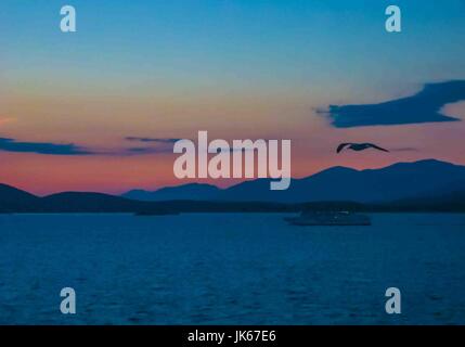 Le Pirée, Grèce. Sep 30, 2004. Une mouette, en silhouette, vole au-dessus de la mer Méditerranée à l'aube près du port du Pirée, Grèce. Credit : Arnold Drapkin/ZUMA/Alamy Fil Live News Banque D'Images