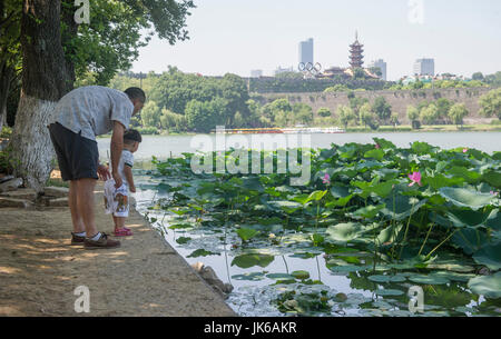 Nanjing, Jiangsu Province de la Chine. 22 juillet, 2017. Les touristes voir fleurs de lotus dans la pittoresque place du Lac Xuanwu à Nanjing, capitale de la province de Jiangsu, Chine orientale, le 22 juillet 2017. Credit : Feng Xiao/Xinhua/Alamy Live News Banque D'Images