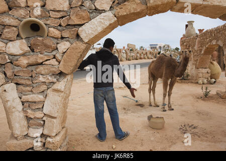 L'île de Djerba, Tunisie, Guellala, vendeur de poterie et de l'âne Banque D'Images