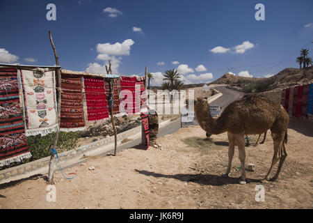 La Tunisie, Ksour, Toujane, tapis berbère shop le long de la route C 104 Banque D'Images