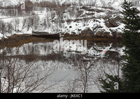 Les naufrages de bateaux en bois abandonnés reflétée sur l'eau à la baie d'Sildpolltjonna-rive sud du Sildpollnes-péninsule dans l'Austnesfjorden. Vagan kommune Banque D'Images