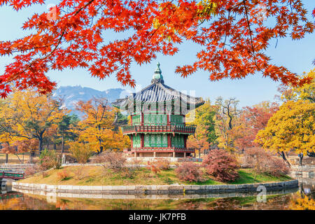 Gyeongbukgung et érable à l'automne en Corée. Banque D'Images