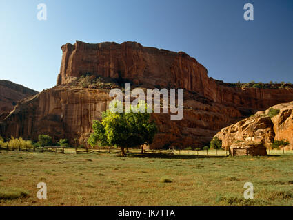 Canyon de Chelly, Arizona, USA : les falaises de grès s'élever au-dessus d'un hogan Navajo (multi-verso log house) et corral dans le fond du canyon. Banque D'Images