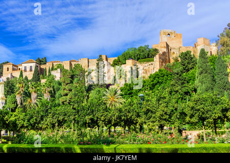 Murs de forteresse alcazaba à Malaga Banque D'Images