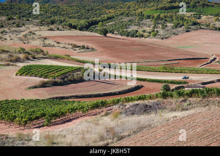 L'Espagne, la région de La Rioja, La Rioja Province, Bobadilla, vignobles Banque D'Images