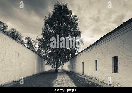 La Russie, Vladimir Oblast, anneau d'or, Suzdal, Monastère de Saint Sauveur Euthymius, murs Banque D'Images