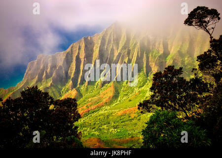 Kalalau Valley avec le brouillard. Koke'e State Park. Waimea Canyon. Kauai, Hawaii Banque D'Images