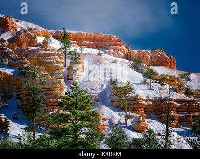 Red Canyon avec la neige. Utah Bryce National Park, Utah Banque D'Images