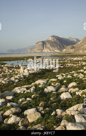 Oman Dhofar, région, Al Mughsail, Küste, Steine, Berge, Banque D'Images