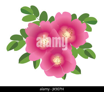 Bouquet de fleurs. Cadre fleuri. Carte de vœux de réussite. Décoration d'été Banque D'Images