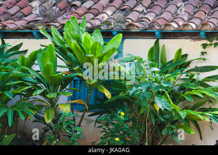 Cuba, La Havane, La Habana Vieja, le Convento de Santa Clara, les plantes de la cour du couvent Banque D'Images