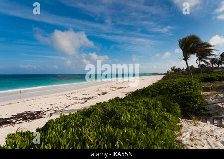 Bahamas, Île Eleuthera, Harbour Island, Pink Sands Beach Banque D'Images