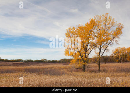 USA, Ohio, Beatrice, Homestead National Monument of America, prairie Banque D'Images