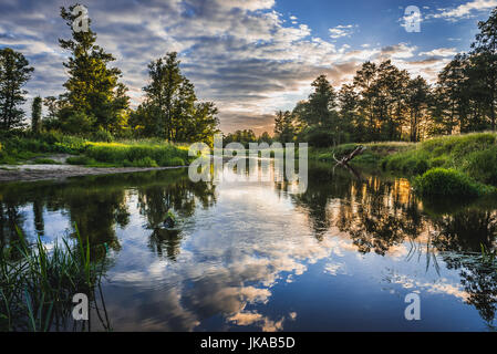 Fleuve Liwiec (également appelé cen) dans petit village Bednarze en Voïvodie de Mazovie en Pologne Banque D'Images