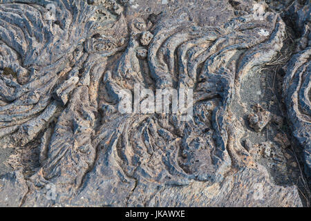 Flux de lave solidifiée sur la plaine côtière du sud de l'Islande Banque D'Images