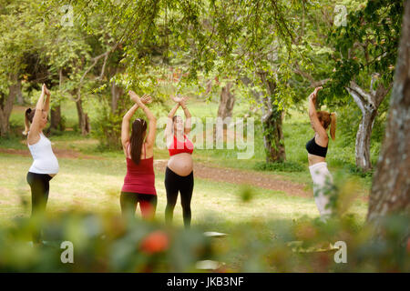 Les femmes enceintes, Groupe de formation des mères avec l'entraîneur de faire des exercices de remise en forme et de yoga pendant la grossesse en parc. Banque D'Images