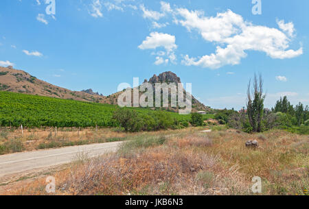 Vieille montagne Medovaya avec vignes au pied de la montagne. La péninsule de Crimée Banque D'Images