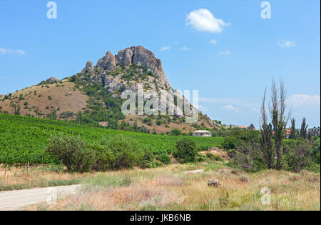 Vieille montagne Medovaya avec vignes au pied de la montagne. La péninsule de Crimée Banque D'Images