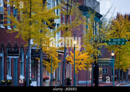 USA, New York, Dover, le centre-ville de bâtiments le long de la verdoyante et la State Street Banque D'Images