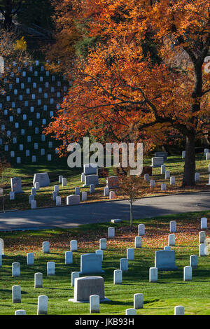 USA, Virginie, Arlington, Arlington National Cemetery, pierres tombales militaires, automne Banque D'Images