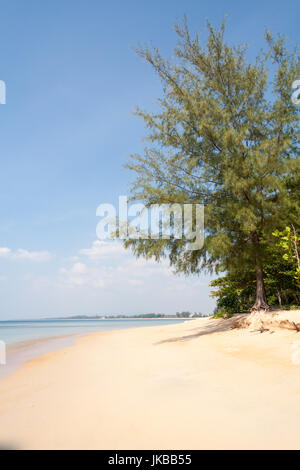 De sable blanc de Nai Yang Beach, Phuket, Thaïlande Banque D'Images