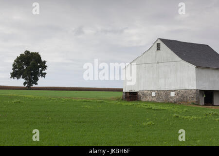 USA, Ohio, Pennsylvania Dutch Country, Paradise, grange Banque D'Images