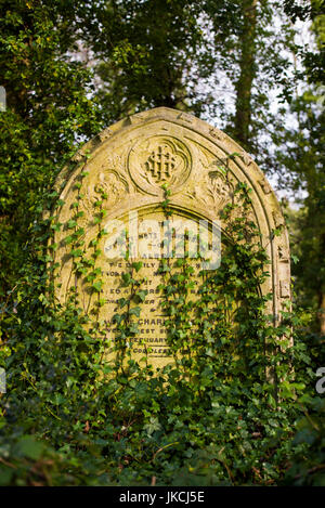 L'Angleterre, Londres, Highgate, le Cimetière de Highgate, envahie par la monument Banque D'Images