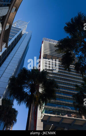 L'Australie, New South Wales, NSW, Sydney, Central Business District, CBD, immeubles de grande hauteur, Banque D'Images