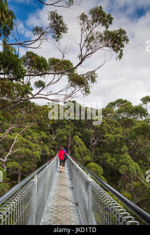 L'Australie, l'ouest de l'Australie, le sud-ouest, Walpole-Nornalup, Valley of the Giants Tree Top Walk, de l'allée au-dessus des arbres tingle géant Banque D'Images