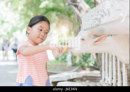 Cute farmer girl nourrir bébé avec bouteille de lait de chèvre d'élevage concept. Banque D'Images