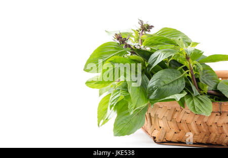 Sweet Basil leaf en panier de bambou avec copie espace isolé sur fond blanc Banque D'Images