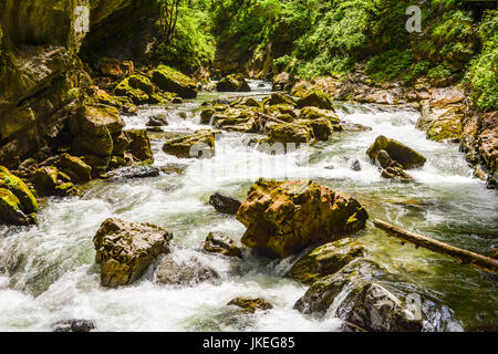 Fleuve sauvage qui coule à travers les gorges de Breitachklamm Banque D'Images