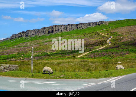 Stanage Edge, parc national de Peak District, Derbyshire Banque D'Images