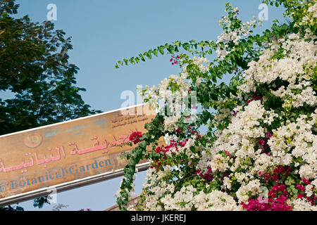 Aegypten, Assouan, Botanischer Garten auf der Kitchener-Insel Banque D'Images