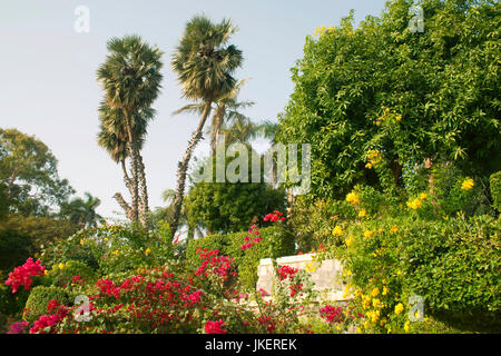 Aegypten, Assouan, Botanischer Garten auf der Kitchener-Insel Banque D'Images