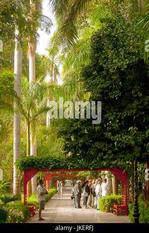 Aegypten, Assouan, Botanischer Garten auf der Kitchener-Insel Banque D'Images