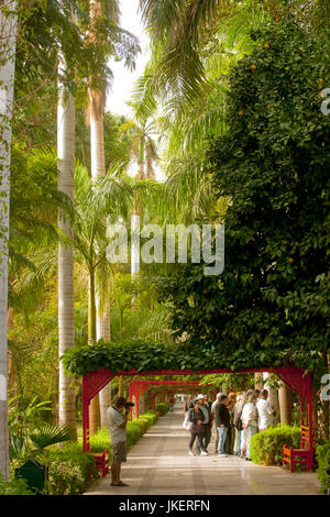 Aegypten, Assouan, Botanischer Garten auf der Kitchener-Insel Banque D'Images