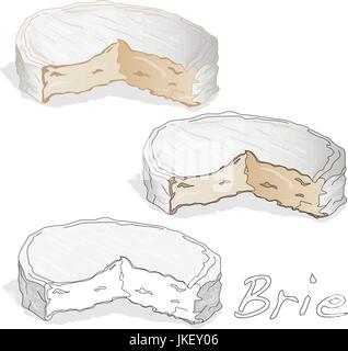 Fromage Brie art isolé Illustration de Vecteur