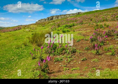 Stanage Edge, parc national de Peak District, Derbyshire Banque D'Images