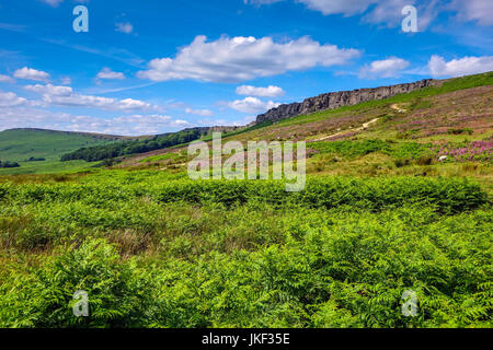 Stanage Edge, parc national de Peak District, Derbyshire Banque D'Images