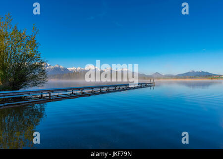 Morgenstimmung am Hopfensee, bei Füssen, Allgaeu, dahinter Ostallgaeu, Die Alpen Allgaeuer, Bayern, Deutschland, Europa Banque D'Images