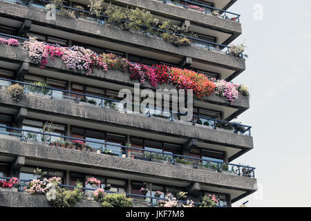 Des rangées de plantes de jardin de balcon coloré geraniums poussant dans les jardins à l'extérieur de Barbican Estate appartements dans la ville de Londres Royaume-Uni KATHY DEWITT Banque D'Images