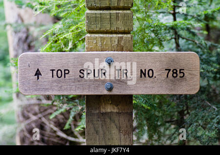 Poteau de signalisation pour le Trail 785 Top Spur Trailin la Mt Hood National Forest Banque D'Images