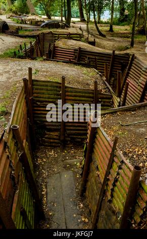 Bois du Sanctuaire près de Passchendaele, en Belgique 23 juillet 2017 : : WW ! Des tranchées en bois du sanctuaire près de Passchendaele, en Belgique. 31 juillet voit le début des commémorations du 100e anniversaire du début de la bataille de Passchendaele Crédit : Andrew Wilson/Alamy Live News Banque D'Images