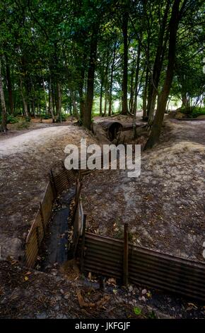 Bois du Sanctuaire près de Passchendaele, en Belgique 23 juillet 2017 : : WW ! Des tranchées en bois du sanctuaire près de Passchendaele, en Belgique. 31 juillet voit le début des commémorations du 100e anniversaire du début de la bataille de Passchendaele Crédit : Andrew Wilson/Alamy Live News Banque D'Images