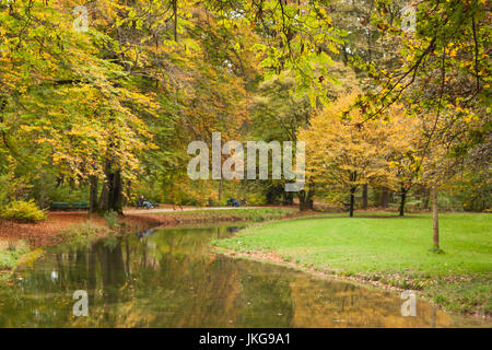 Germany, Bavaria, Munich, parc Englischer Garten, feuillage d'automne Banque D'Images