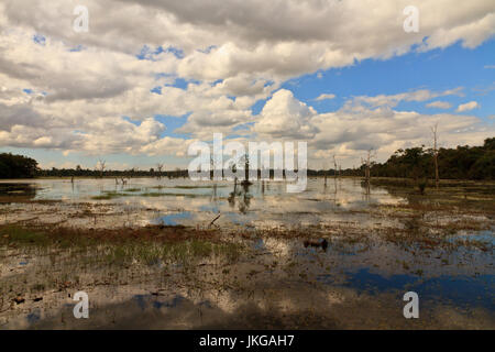 Lake sur le côté façon de Neak Pean (Neak Poan, les serpents entrelacés), île artificielle avec temple bouddhiste sur l'île circulaire, le Mebon de Preah Khan B Banque D'Images