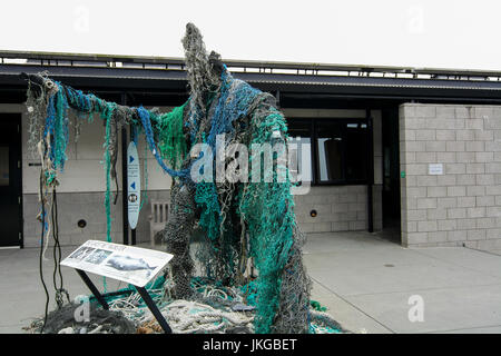 Moustiquaires Monster sculpture au Marine Mammal Center à San Francisco, un organisme sans but lucratif dédié à la rescousse et la remise en état de ma marine Banque D'Images