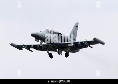 L'Armée de l'air tchèque Aero L-159un avion d'attaque léger Alca et avion d'entraînement avancé en vol au Royal International Air Tattoo RIAT 2017 Banque D'Images