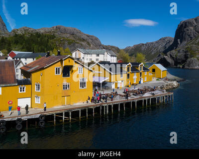 Regardant vers le bas sur le port de Nusfjord dans le vieux village de pêcheurs préservé aujourd'hui un musée et de vacances à partir de la vue au-dessus de l'un des principaux port Flakstadøy Banque D'Images